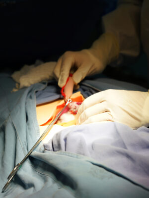 semillero-de-medicina- 01