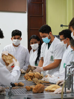 semillero-de-medicina- 05